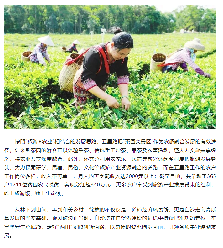 巡礼  白沙：奋力描绘“绿水青山”新画卷8.png